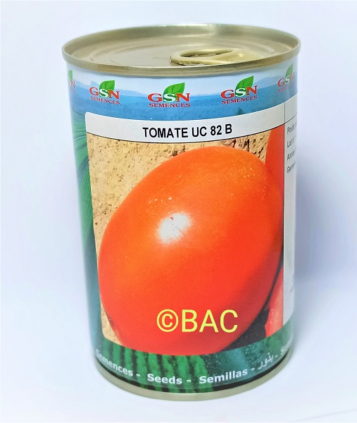 Tomate UC 82 B 100 g
