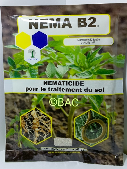 Nema B2