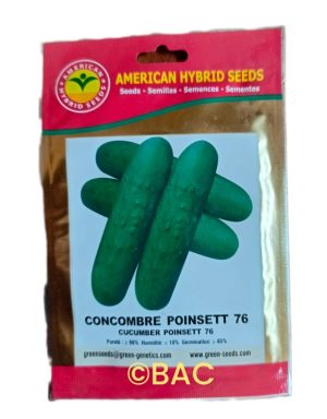 Concombre Poinset 76 10 g