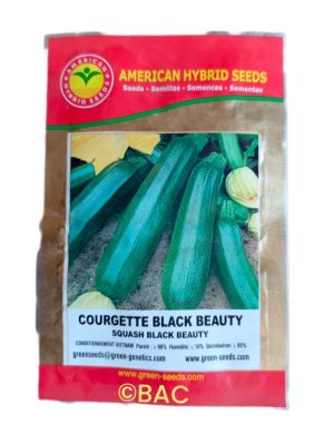 Courgette Black Beauty10 g