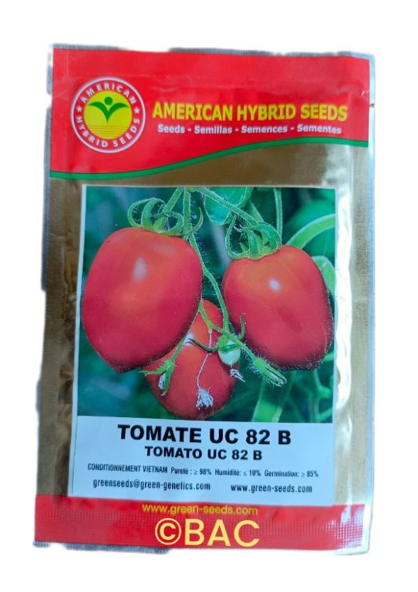 Tomate UC 82 B 10 g