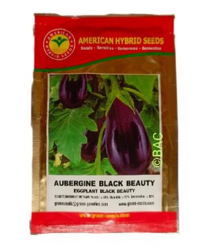 Aubergine Black Beauty