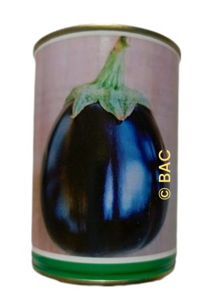Aubergine Black Beauty 100 g