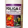 Foliga C