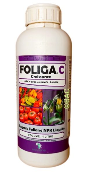 Foliga C