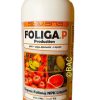 Foliga P