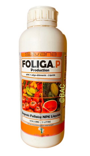 Foliga P