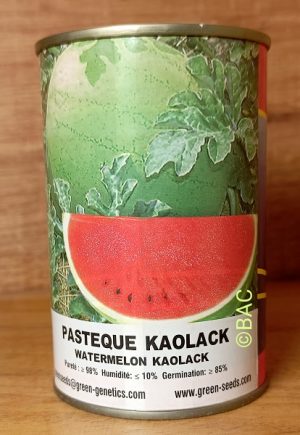 Pastèque Kaolack 100 g