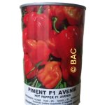 Piment F1 Avenir 50 g