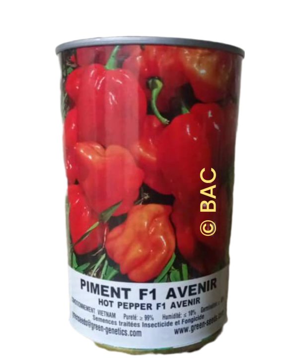 Piment F1 Avenir 50 g