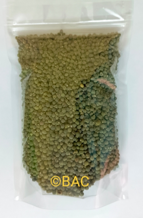 Gombo Konni 500g