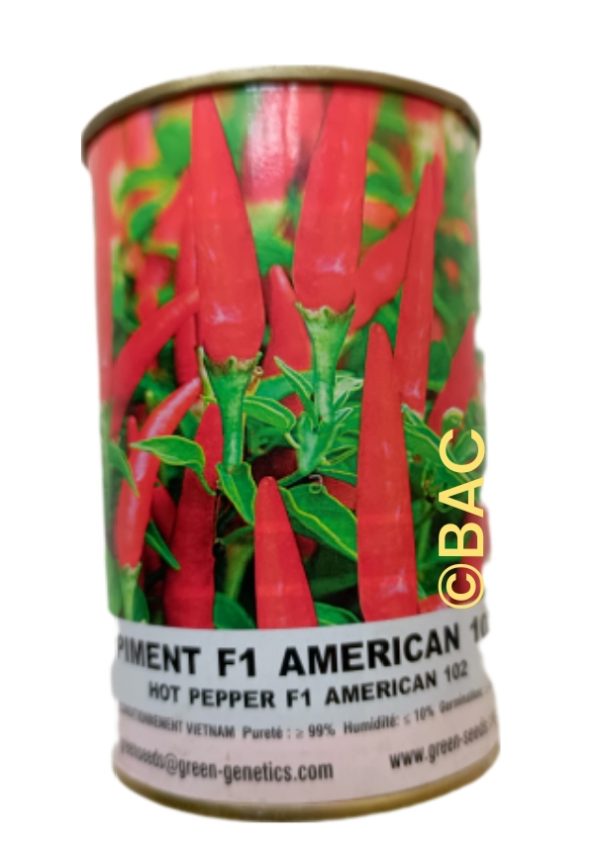 F1 Americain 102 50g