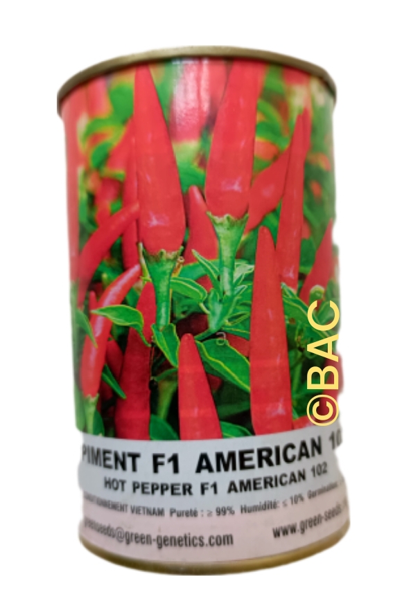 Piment F1 American 102
