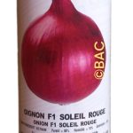 Oignon F1 Soleil Rouge 100g