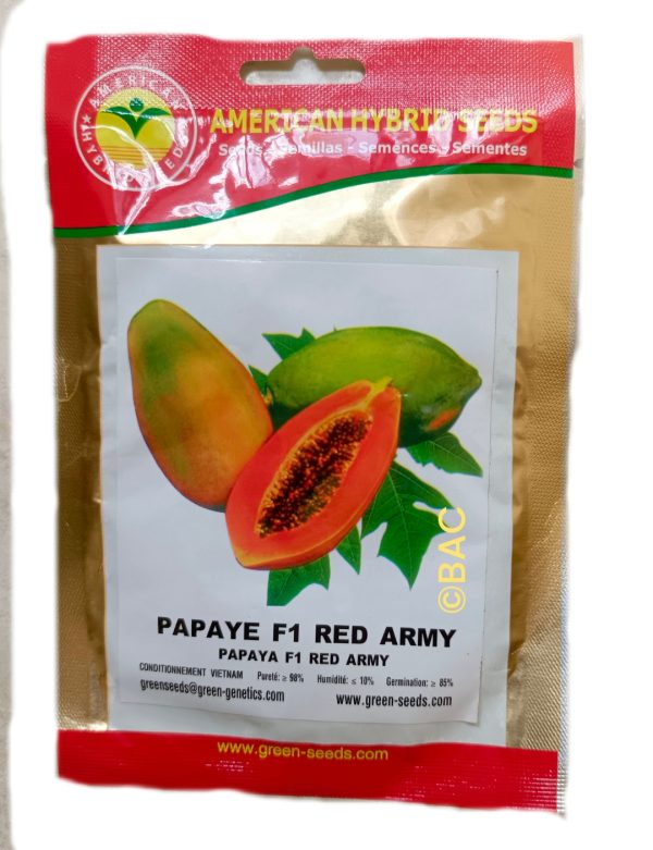 Papaye F1 Red Army 5g