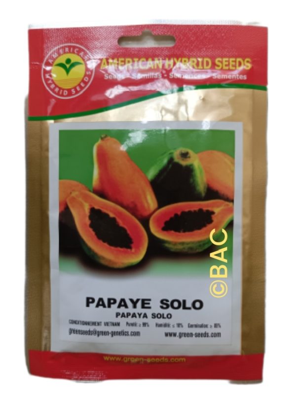 Papaye Solo 5g