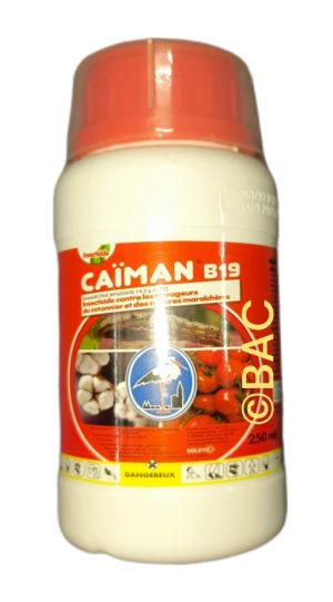 Caïman B19 250 ml